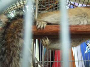 ���邳�`���@����������ςł���B