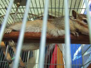 �����B�B�B