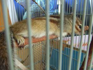 �Ƃ肠�����A�����Ȃ��悤�ɂ���΂�B�B�B