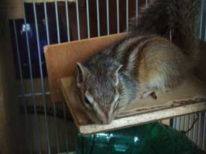 �������������ł������܂��I