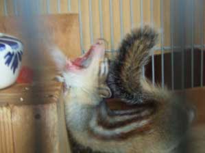 ������������`�`�@�ǁ`�ɂ����ā`