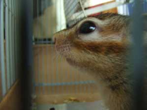 �F�X�ȂƂ��낪������񂾂�`��B�B�B