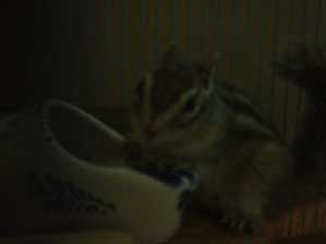 ��΂��A�z���N����