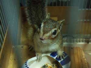 �����A�Q�Ă���Ȃ����ȁ`