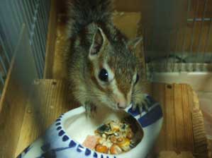 �́@�́@�͂��I