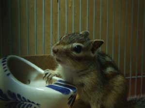 ����H�@�N����Ȃ���