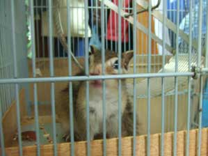 �`���E�_�C�I