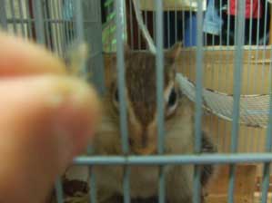 �{���{���{��