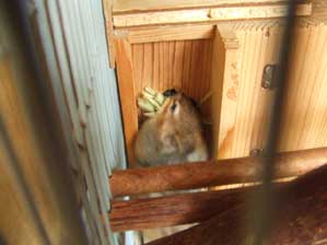 ��������΁`�@�����͂��Ȃ񂾂��ǂȁ`