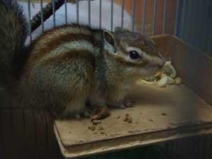 ���������`