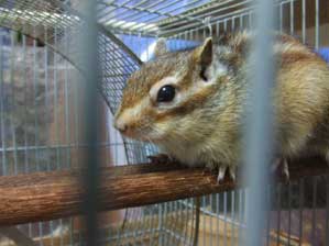 ���������@�C�����悭