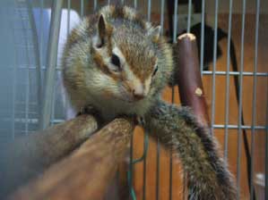 �Q�Ă����̂Ɂ`�`��B�B�B