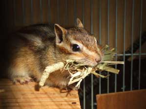 �����͏�������@������m���o���Ă���́`