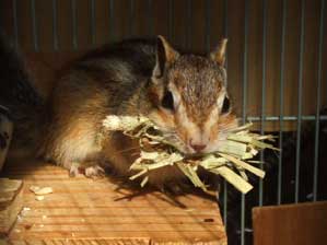 �����@�����Ȃ́B