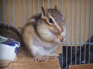 ���������`