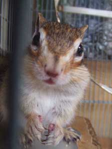 ������`��