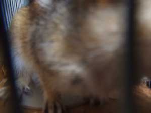 ���[�ꂾ�I