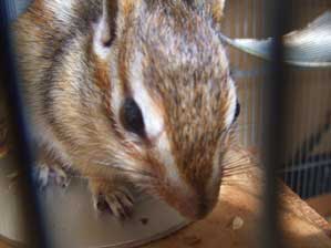 �����Ȃ�ł����ǁ`�`