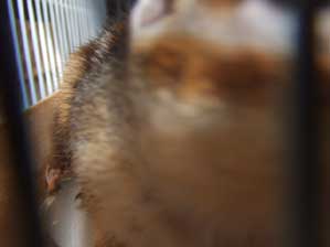 ���[�ꂾ�I