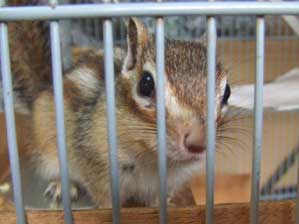 �����Ɓ@�����ā`�`