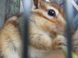 ��������@���C���Ⴜ�I