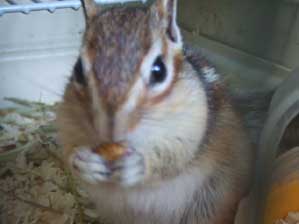 �����ς��т���I�@����Ȃ��ā@����݂���`��B�B�B