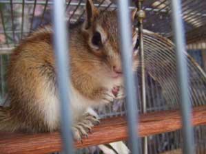 �߂Â������܂����ł�����B