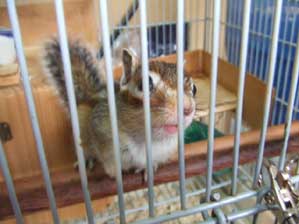 ���݂܂���A�������܂��񂩂�@����݃`���E�_�C�B�B�B