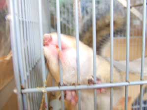 ���̎��ŁI