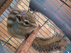 �������ƁB�B�B