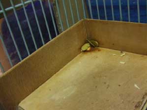 �|�c�`���B�B�B