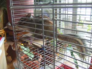 �ڂ��ꂿ������B�B�B