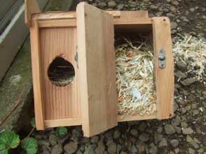 ���b�T�@���b�T