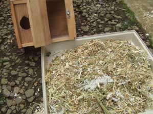 ���b�T�@���b�T