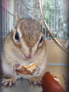 ������Ɗ����C�������ǁ@�|���|�����Ă��Ă��������I�@