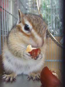 ������Ƃ����A�w�؂�L�΂��Ă��@�Q���g��ˁB