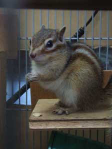 O zisama�@�ׂ����ă}�b�J�`