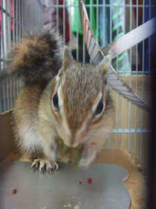 ���߁[�@���߁[�@�������͂��߁[