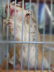 ����݁@���傤���`��