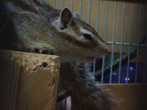 �钆�͊y������`