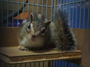 ���`�Ƃˁ`�@���`�Ƃˁ`