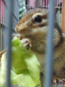 �p���p���p���p��