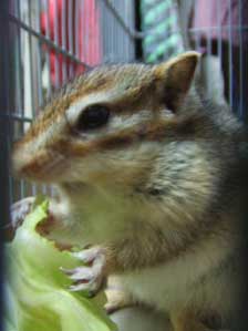 ���邳����ˁ`