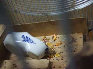 �S���`��