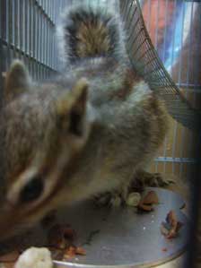 �������̂��@�������������ȁ`