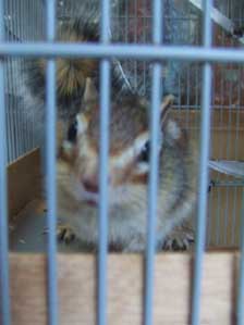 �~��Ă������