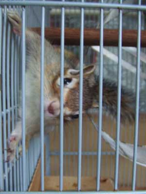 �E�҂ł�����I