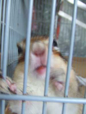 �Ă�ł݂������I