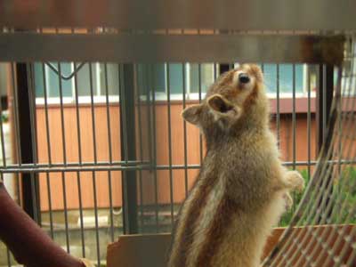 �݂�Ȃ����a�ł���܂��悤��