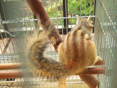 ���킢�����K�ł���